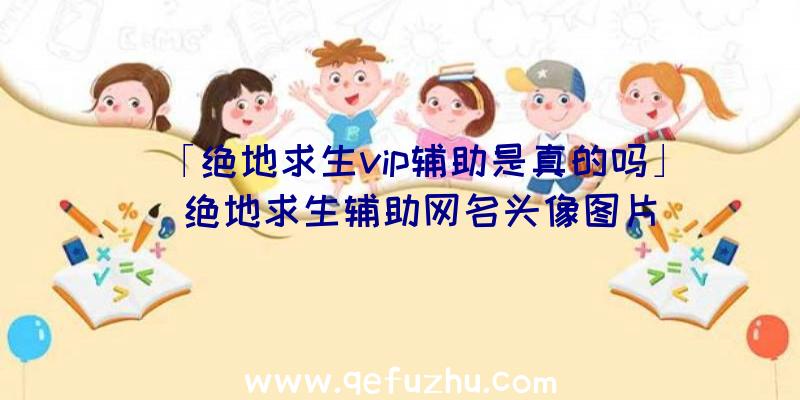 「绝地求生vip辅助是真的吗」|绝地求生辅助网名头像图片